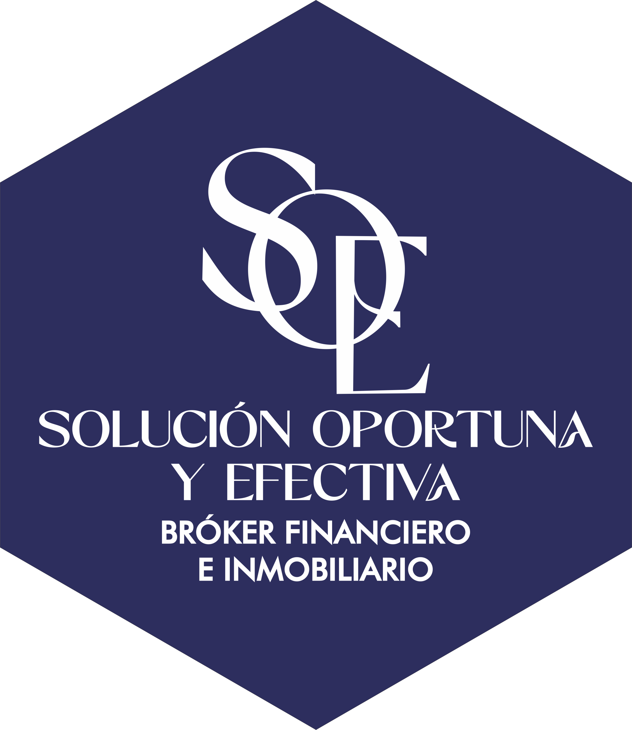 solucionoportunayefectiva.co